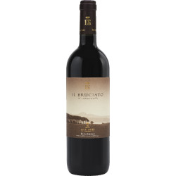 Antinori Bruciatio