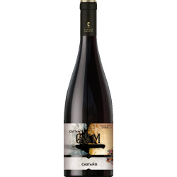 Castano GSM