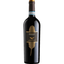 Campagnola Valpolicella...