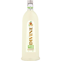 Pure Divine Ginger Mule 