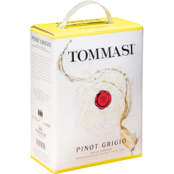 Tommasi Pinot Grigio