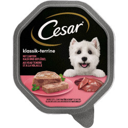 Cesar vådforder Kalv og...