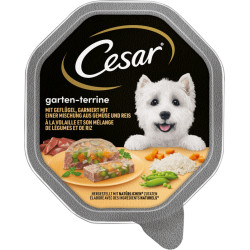 Cesar vådfoder Fjerkræ,...