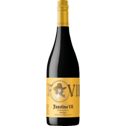 Faustino VII Tempranillo Rioja