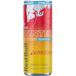 Red Bull Winter 2025 SF 250ml