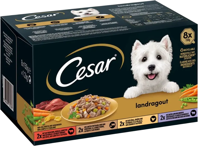 Cesar Adult Landragout