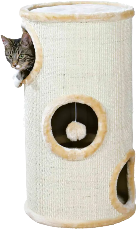 Jollypaw Jollina Kradsetårn